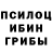 Псилоцибиновые грибы GOLDEN TEACHER Shaxlo Norpulatova