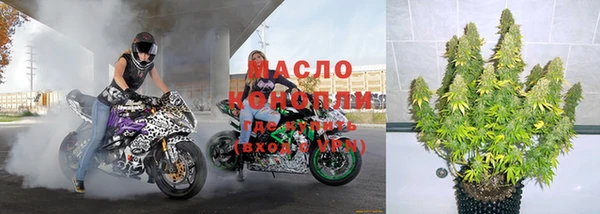 прущие грибы Богданович