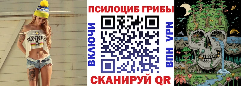 закладка  Кремёнки  Псилоцибиновые грибы ЛСД 